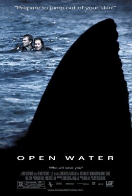 Poster phim Trôi Dạt – Open Water (2003)