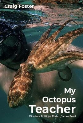 Poster phim Cô Giáo Bạch Tuộc – My Octopus Teacher (2020)