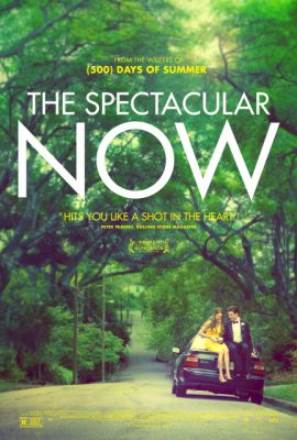 Poster phim Thực Tại Hoàn Mỹ – The Spectacular Now (2013)