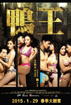 Poster phim Trai Bao – The Gigolo (2015)