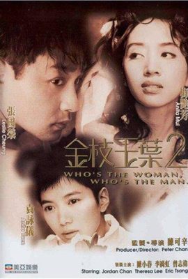 Poster phim Kim Chi Ngọc Diệp 2 – Who’s the Woman, Who’s the Man (1996)