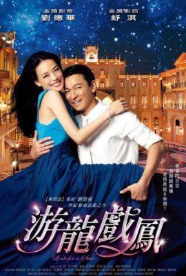 Poster phim Tình Mộng Kỳ Duyên – Look for a Star (2009)