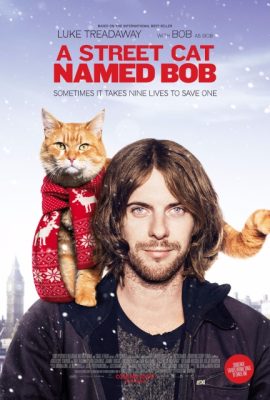 Poster phim Chú mèo đường phố tên Bob – A Street Cat Named Bob (2016)