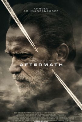 Poster phim Sau thảm họa – Aftermath (2017)