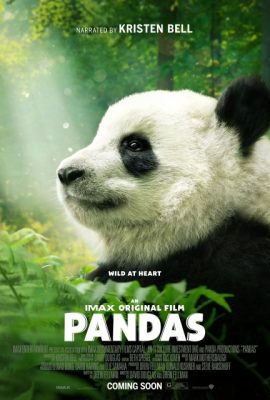 Poster phim Gấu Trúc – Pandas (2018)