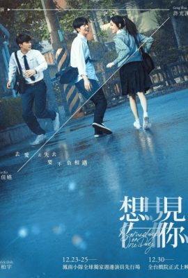 Poster phim Muốn gặp anh – Someday or One Day (2022)