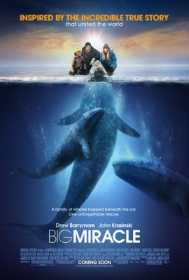 Poster phim Giải Cứu Cá Heo – Big Miracle (2012)